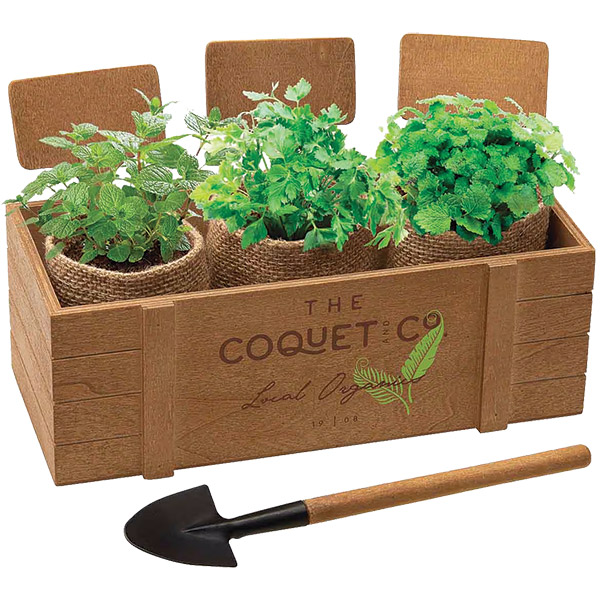 Illini Planter