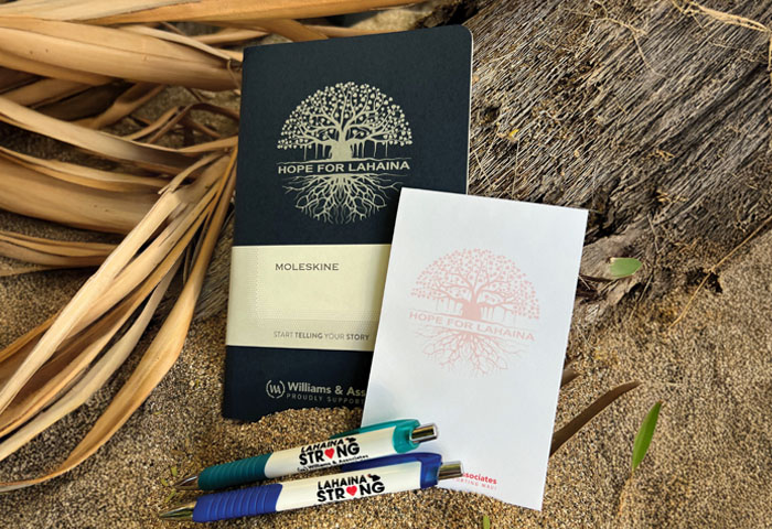 journal, pens