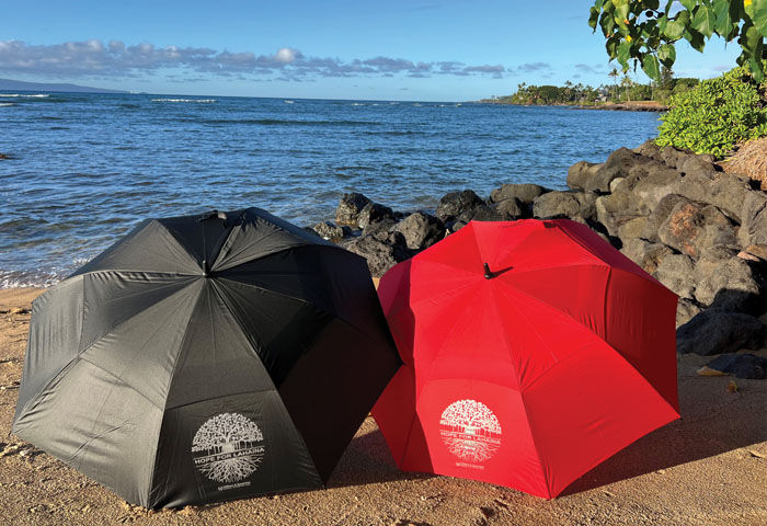 umbrellas