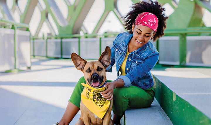 Wag-Worthy Swag: How To Unleash the Power of Pet Promos